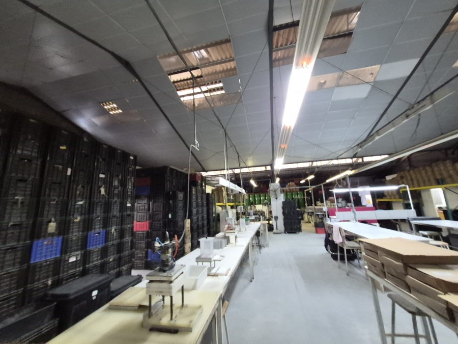 To Let Commercial Property for Rent in Gants Plaza Western Cape